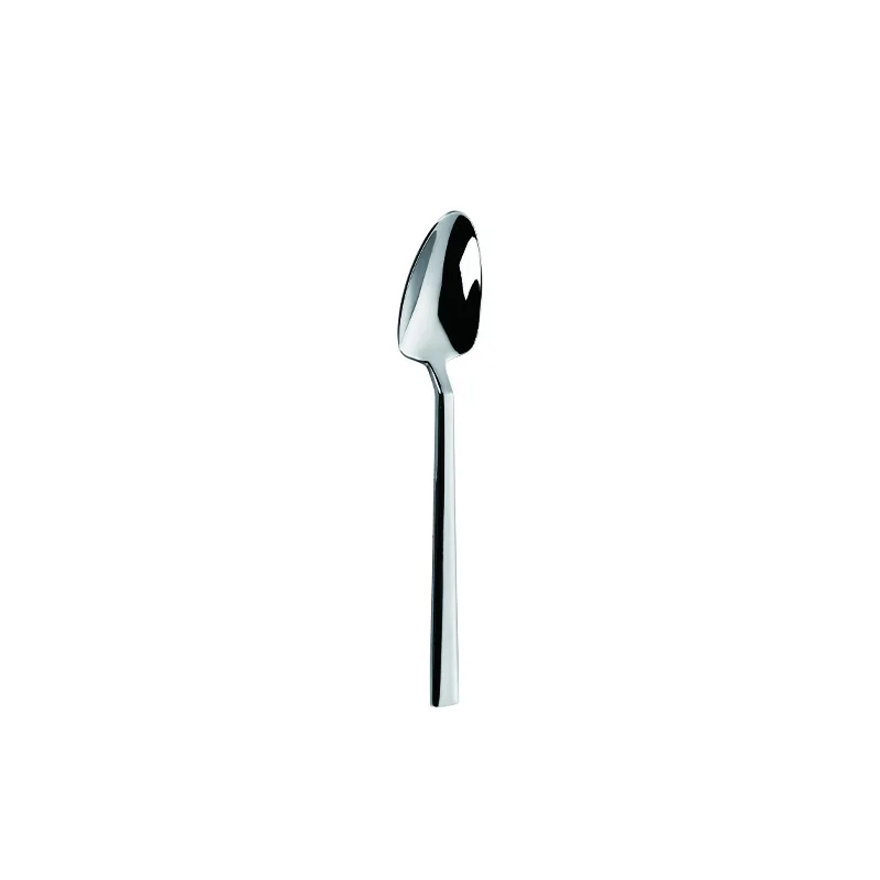 Stainless Steel Tea Spoon, Long Straight Handle Small Coffee Spoon